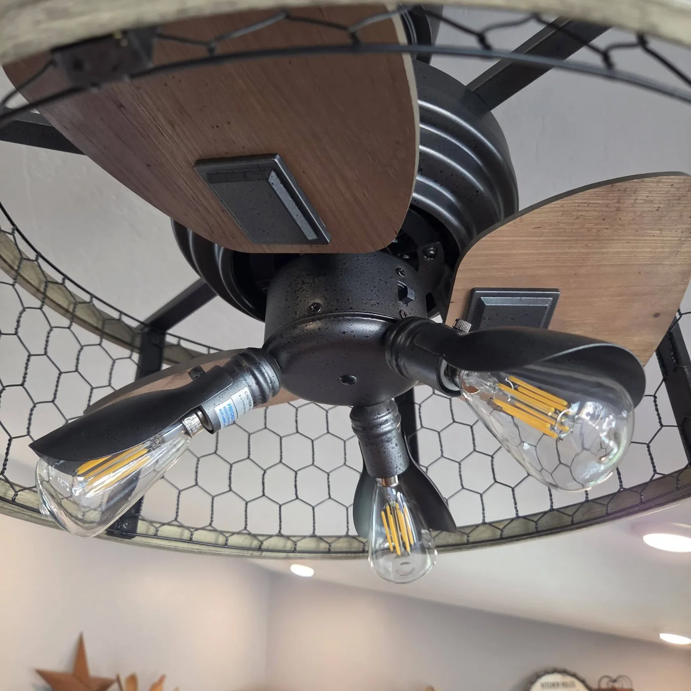 Ceiling fan and light fixture detail